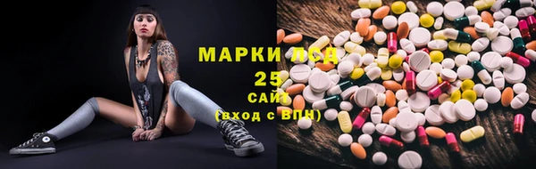 прущие грибы Каменка